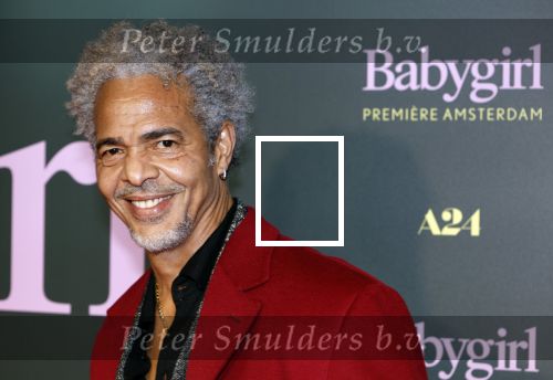 Amsterdam 25 november 2024
Premiere Babygirl in Tuschinski . Halina Reijn is de producente. Erle de Lanooi