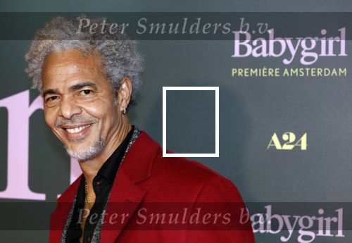Amsterdam 25 november 2024
Premiere Babygirl in Tuschinski . Halina Reijn is de producente. Erle de Lanooi