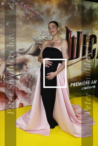 Amsterdam 3 december 2024
Premiere Wicked in Tuschinski. Esmee v Kampen zwanger