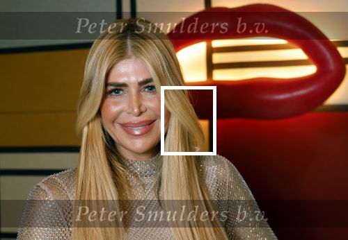 Amsterdam 12 november 2024
Boekpresentatie Estelle Cruijff in restaurant Bisous .