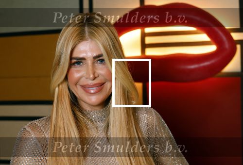 Amsterdam 12 november 2024
Boekpresentatie Estelle Cruijff in restaurant Bisous .