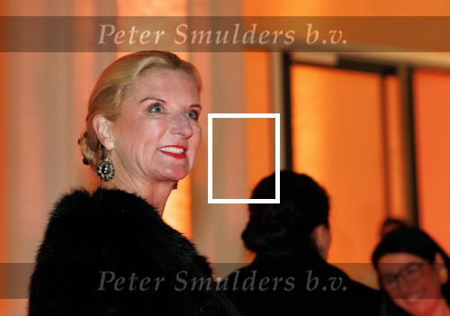 Amsterdam 14 november 2024
Koningin Maxima opent beeldentuin in Stedelijk museum . Er is veel politie en beveiliging aanwezig. Esther Rommel