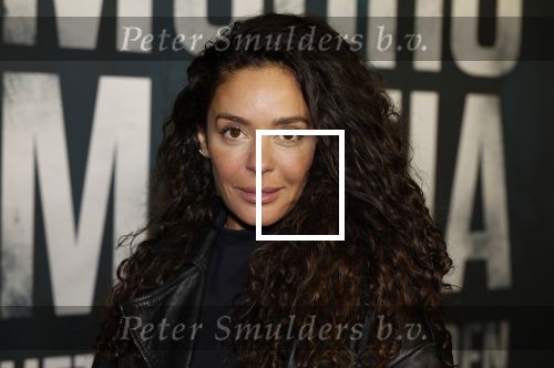 Amsterdam 5 november 2024
Premiere Videoland van  Mocro mafia in Tuschinski. fajah Lourens