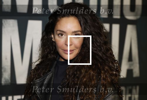 Amsterdam 5 november 2024
Premiere Videoland van  Mocro mafia in Tuschinski. fajah Lourens