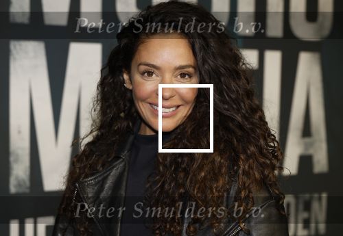 Amsterdam 5 november 2024
Premiere Videoland van  Mocro mafia in Tuschinski. fajah Lourens