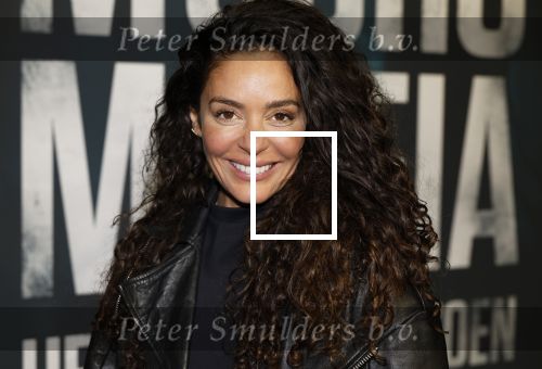 Amsterdam 5 november 2024
Premiere Videoland van  Mocro mafia in Tuschinski. fajah Lourens