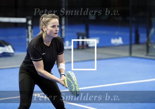Laren 13 november 2024
Boekpresentatie over Padel met oa Matthias Scholten Johnny de Mol Fatima Moreiro de Melo en Martijn Lusink /