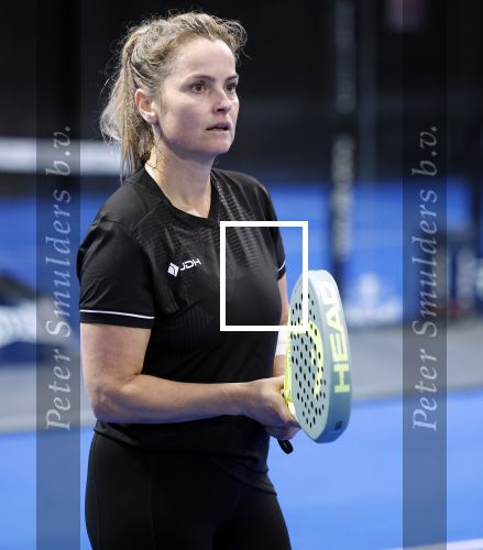 Laren 13 november 2024
Boekpresentatie over Padel met oa Matthias Scholten Johnny de Mol Fatima Moreiro de Melo en Martijn Lusink /