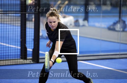 Laren 13 november 2024
Boekpresentatie over Padel met oa Matthias Scholten Johnny de Mol Fatima Moreiro de Melo en Martijn Lusink /