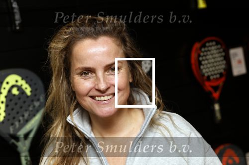 Laren 13 november 2024
Boekpresentatie over Padel met oa Matthias Scholten Johnny de Mol Fatima Moreiro de Melo en Martijn Lusink /