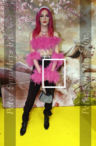 Amsterdam 3 december 2024
Premiere Wicked in Tuschinski. Faye Ferry