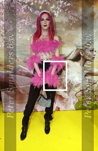Amsterdam 3 december 2024
Premiere Wicked in Tuschinski. Faye Ferry