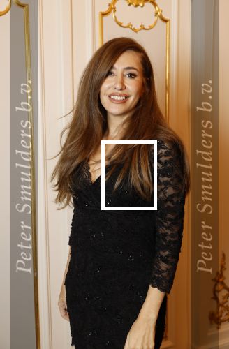 Amsterdam 5 november 2024
Feestje Harpers Bazaar in hotel l\