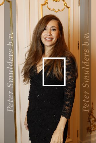 Amsterdam 5 november 2024
Feestje Harpers Bazaar in hotel l\