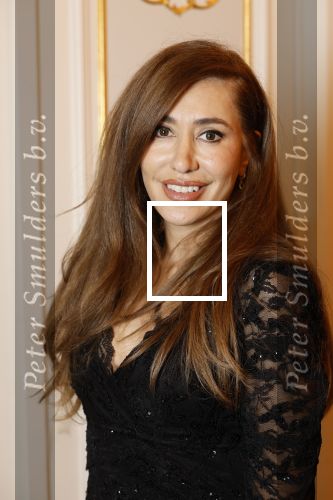 Amsterdam 5 november 2024
Feestje Harpers Bazaar in hotel l\