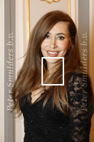 Amsterdam 5 november 2024
Feestje Harpers Bazaar in hotel l\