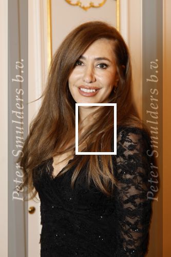 Amsterdam 5 november 2024
Feestje Harpers Bazaar in hotel l\