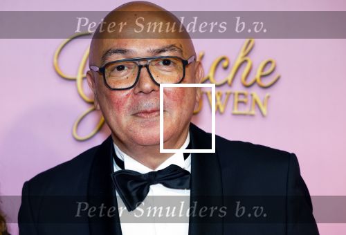 Amsterdam 22 oktober 2024
Premiere Gooische vrouwen in het DeLaMar theater. Frans Klein met partner