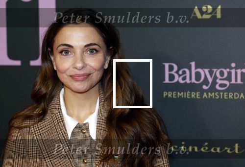 Amsterdam 25 november 2024
Premiere Babygirl in Tuschinski . Halina Reijn is de producente. Georgina Vernbaan met ....