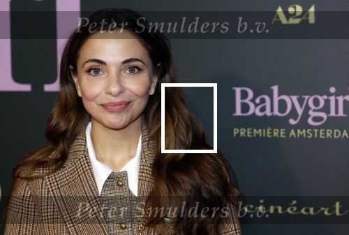 Amsterdam 25 november 2024
Premiere Babygirl in Tuschinski . Halina Reijn is de producente. Georgina Vernbaan met ....