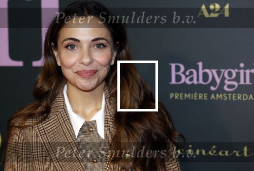 Amsterdam 25 november 2024
Premiere Babygirl in Tuschinski . Halina Reijn is de producente. Georgina Vernbaan met ....