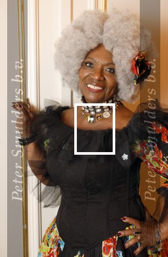 Amsterdam 5 november 2024
Feestje Harpers Bazaar in hotel l\