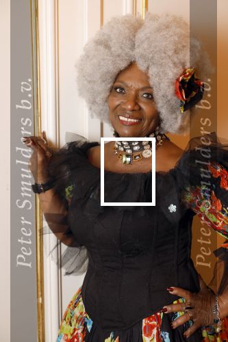 Amsterdam 5 november 2024
Feestje Harpers Bazaar in hotel l\