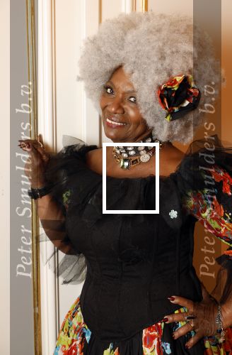 Amsterdam 5 november 2024
Feestje Harpers Bazaar in hotel l\