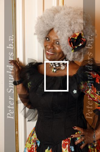 Amsterdam 5 november 2024
Feestje Harpers Bazaar in hotel l\