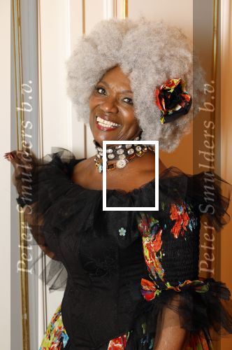 Amsterdam 5 november 2024
Feestje Harpers Bazaar in hotel l\