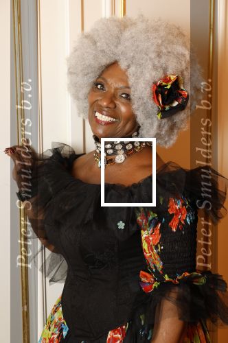 Amsterdam 5 november 2024
Feestje Harpers Bazaar in hotel l\