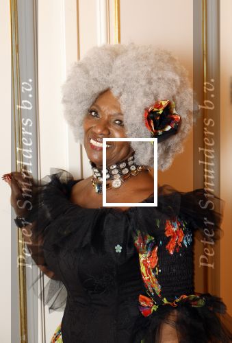 Amsterdam 5 november 2024
Feestje Harpers Bazaar in hotel l\