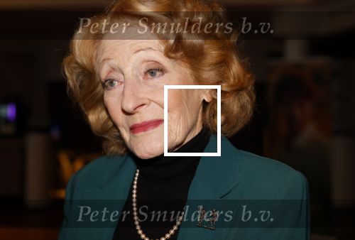 Zaandam 10 november 2024
Premiere murder on the nile in zaantheater. Gerrie v d Klei