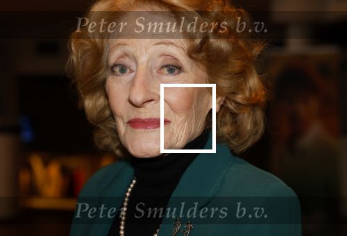 Zaandam 10 november 2024
Premiere murder on the nile in zaantheater. Gerrie v d Klei