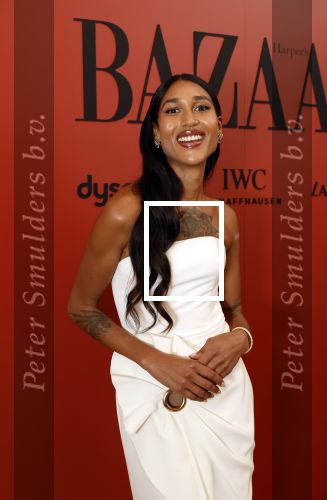 Amsterdam 5 november 2024
Feestje Harpers Bazaar in hotel l\