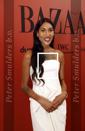 Amsterdam 5 november 2024
Feestje Harpers Bazaar in hotel l\