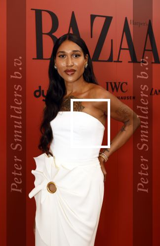 Amsterdam 5 november 2024
Feestje Harpers Bazaar in hotel l\