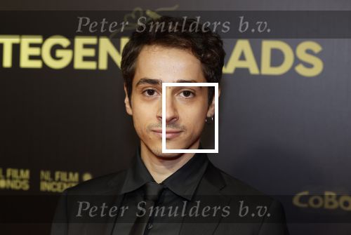 Amsterdam 4 november 2024
Premiere tegendraads in Tuschinski . Giovanni Scotti