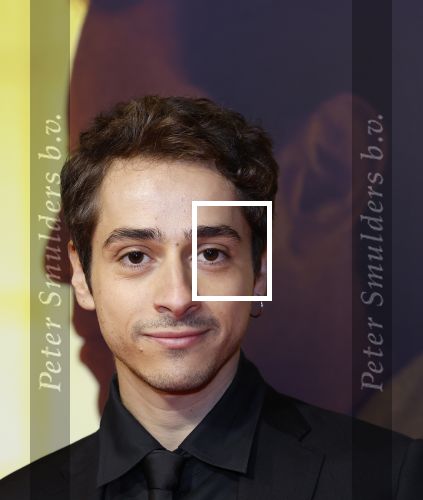Amsterdam 4 november 2024
Premiere tegendraads in Tuschinski . Giovanni Scotti