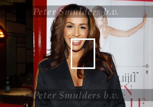 Amsterdam 12 november 2024
Boekpresentatie Estelle Cruijff in restaurant Bisous . Glennis Grace