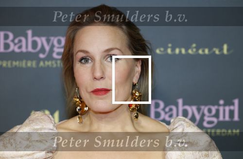 Amsterdam 25 november 2024
Premiere Babygirl in Tuschinski . Halina Reijn is de producente. Hadewych Minis