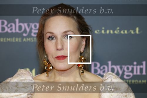 Amsterdam 25 november 2024
Premiere Babygirl in Tuschinski . Halina Reijn is de producente. Hadewych Minis