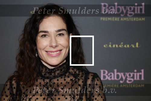 Amsterdam 25 november 2024
Premiere Babygirl in Tuschinski . Halina Reijn is de producente.