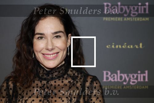 Amsterdam 25 november 2024
Premiere Babygirl in Tuschinski . Halina Reijn is de producente.