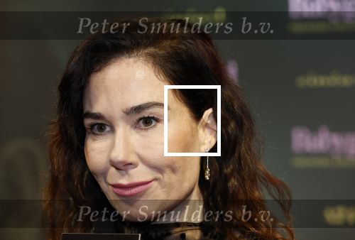 Amsterdam 25 november 2024
Premiere Babygirl in Tuschinski . Halina Reijn is de producente.