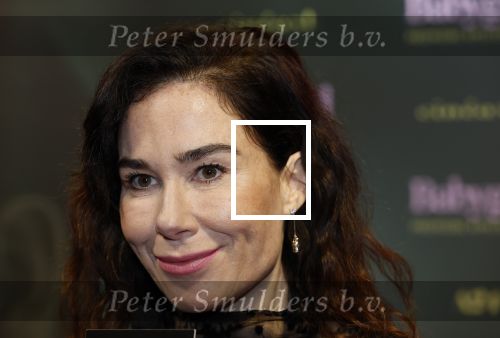 Amsterdam 25 november 2024
Premiere Babygirl in Tuschinski . Halina Reijn is de producente.