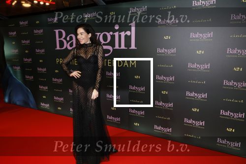 Amsterdam 25 november 2024
Premiere Babygirl in Tuschinski . Halina Reijn is de producente.