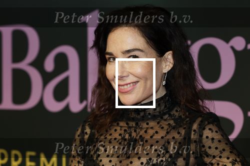 Amsterdam 25 november 2024
Premiere Babygirl in Tuschinski . Halina Reijn is de producente.