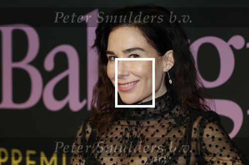 Amsterdam 25 november 2024
Premiere Babygirl in Tuschinski . Halina Reijn is de producente.