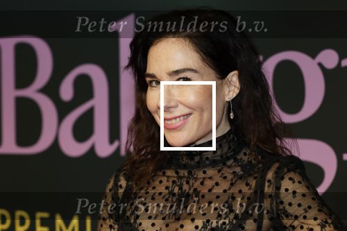 Amsterdam 25 november 2024
Premiere Babygirl in Tuschinski . Halina Reijn is de producente.